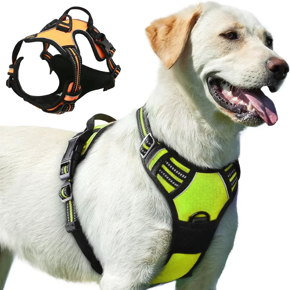 Large Dog Handle Harness