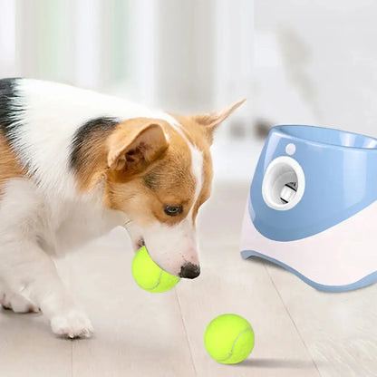 Automatic Dog Tennis Ball Launcher