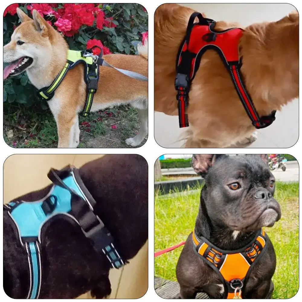 Large Dog Handle Harness