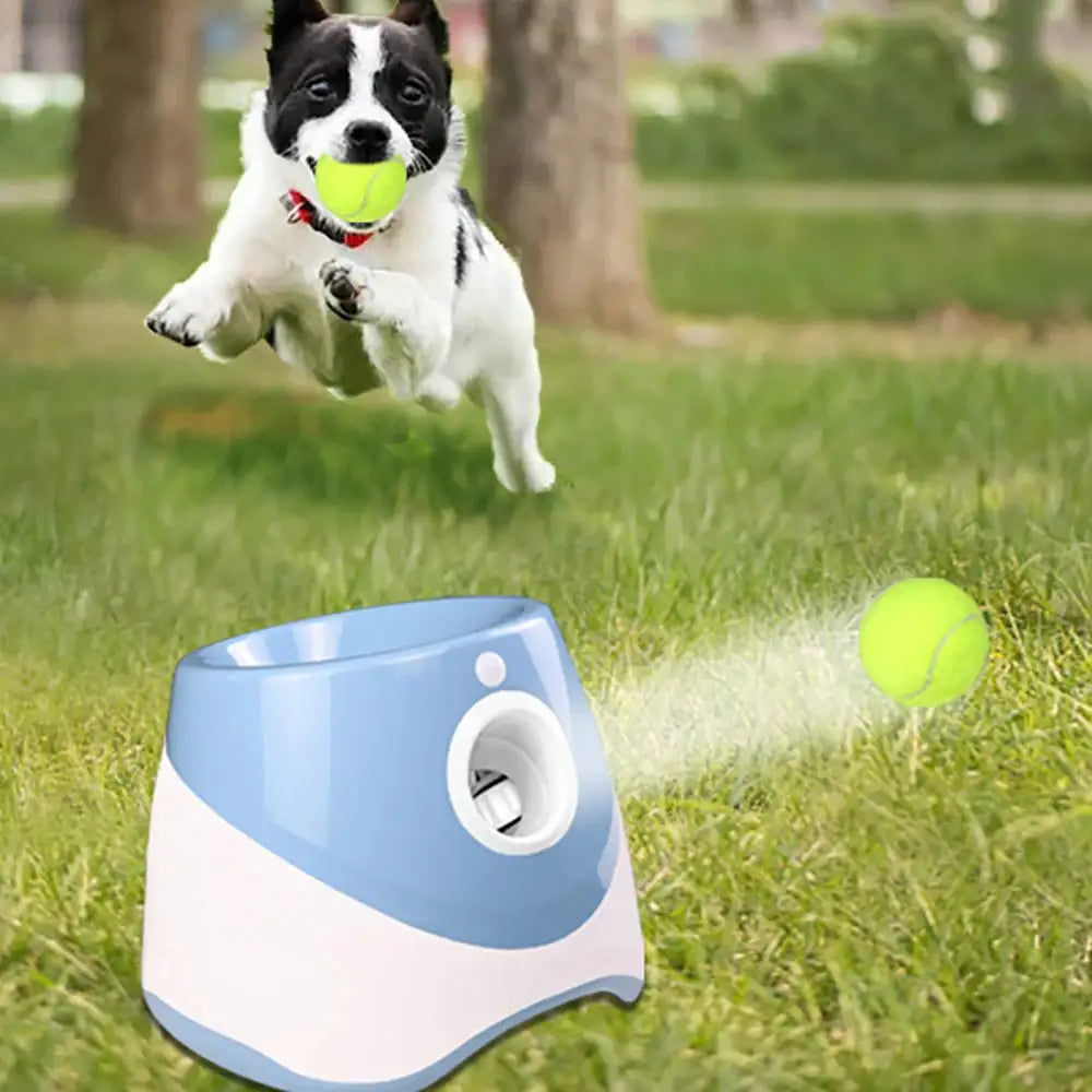 Automatic Dog Tennis Ball Launcher