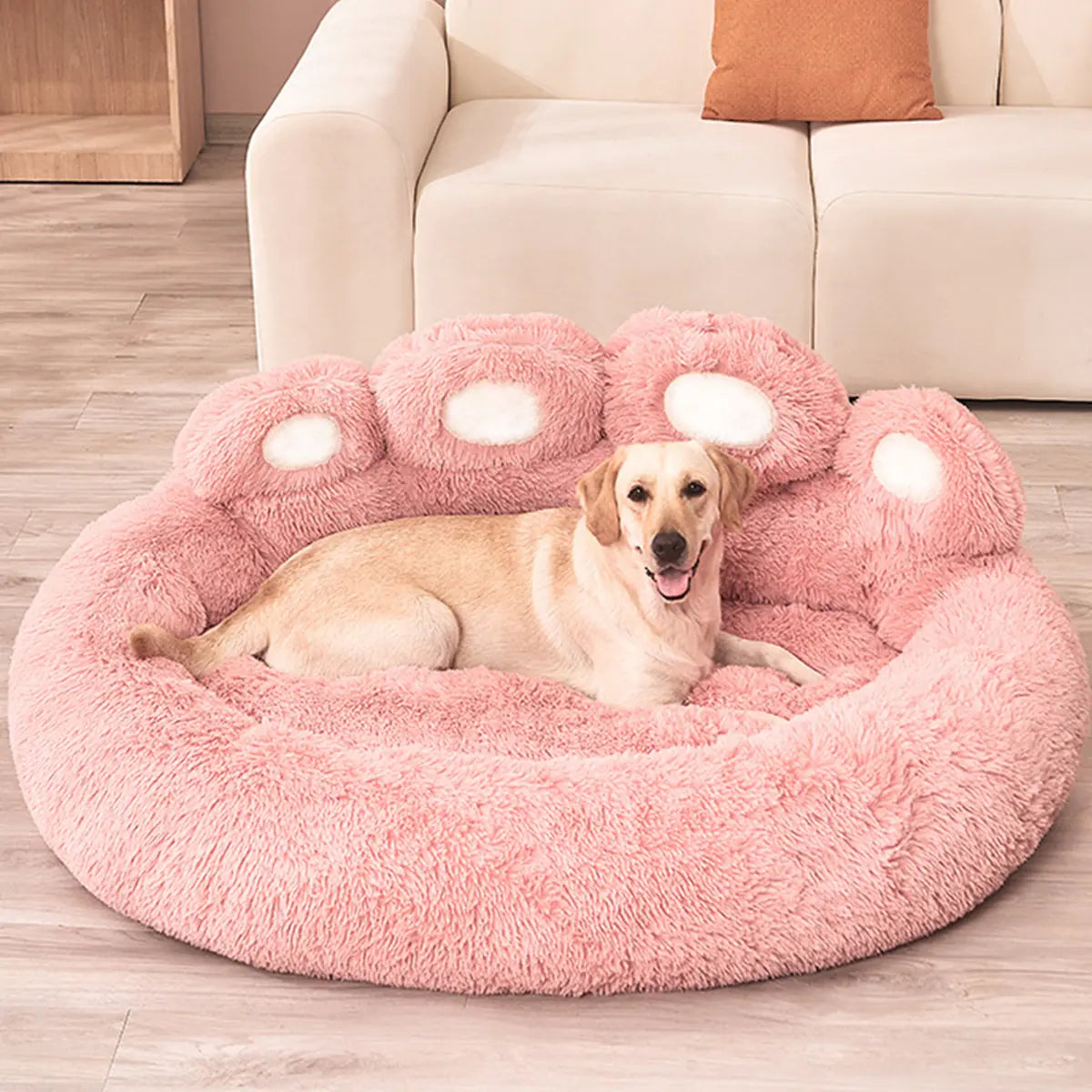 Dog Sofa Beds